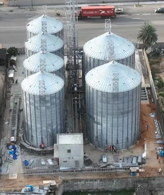 مشروع صوامع FMN (كوتونو، بنين)